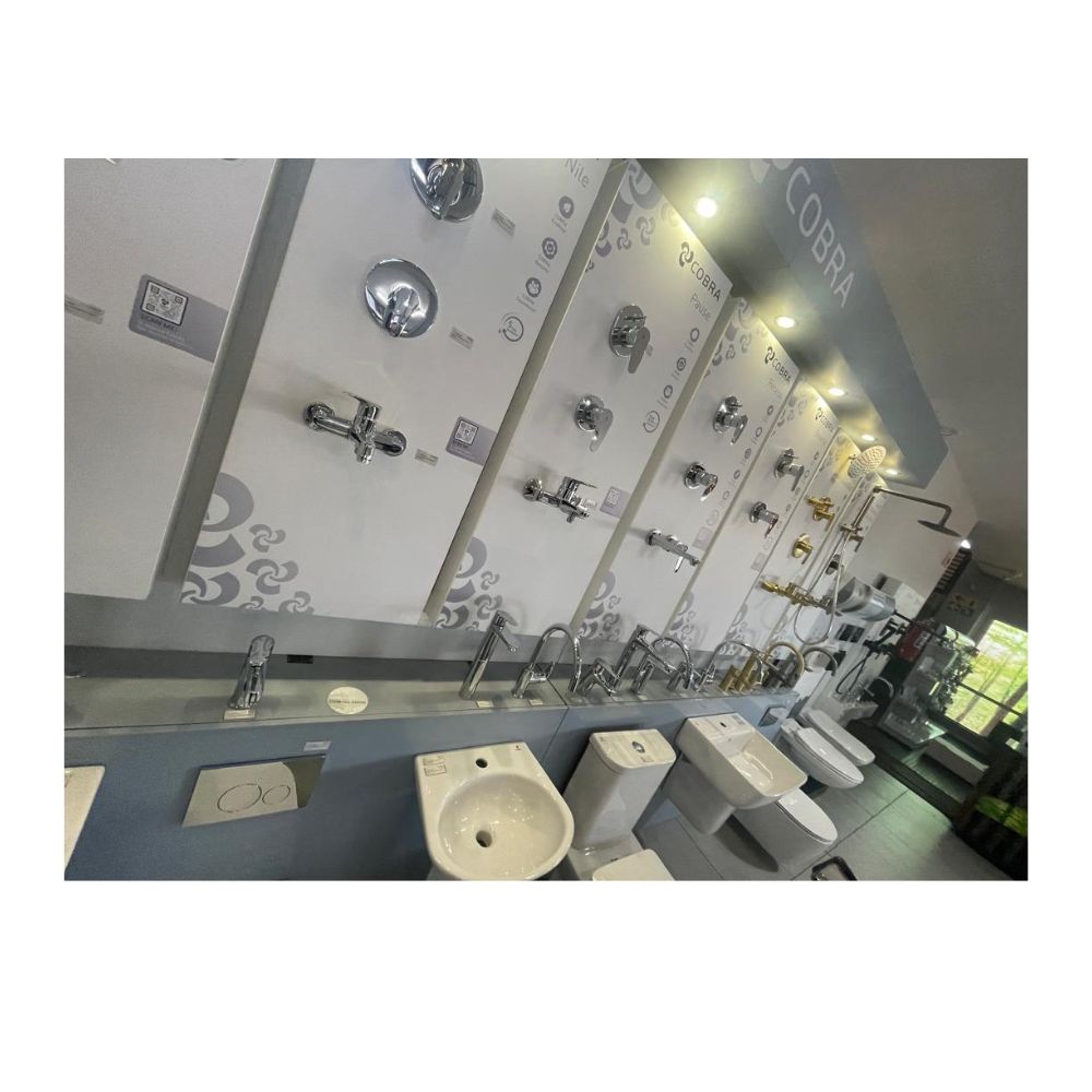 Wall Hung Toilet